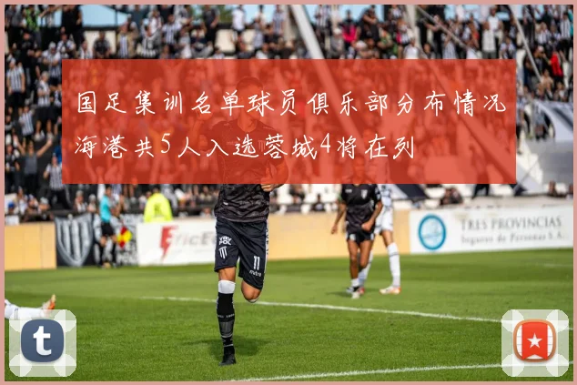 国足集训名单球员俱乐部分布情况海港共5人入选蓉城4将在列